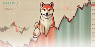 آیا شیبا اینو دوباره جهش خواهد کرد؟ نگاه به آینده قیمت SHIB پیشبینی قیمت شیبا اینو