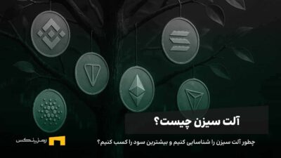 درختی که آلت کوینهای مختلف را میوه داده است