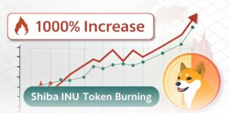 جهش ۱۰۰۰ درصدی نرخ توکنسوزی شیبا اینو؛ آیا شیبا رشد میکند؟ جهش ۱۰۰۰ درصدی نرخ توکنسوزی شیبا اینو؛ آیا شیبا رشد میکند؟