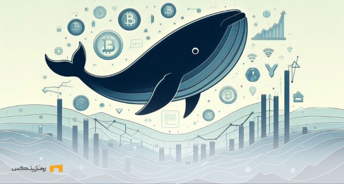 Does-influx-pepe-whales-promise-price-increase آیا هجوم نهنگهای pepe نوید افزایش قیمت را میدهد؟