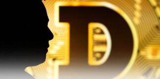 پیشنهاد جدید ایلان ماسک؛ بنیانگذار دوج کوین به DOGE بپیوندد پیشنهاد جدید ایلان ماسک؛ بنیانگذار دوج کوین به DOGE بپیوندد