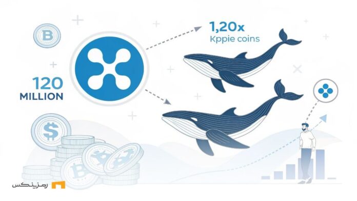 Purchase-120-million-Ripple-whales-market-waiting-for-jump خرید ۱۲۰ میلیونی نهنگهای ریپل؛ آیا بازار در انتظار جهش است؟
