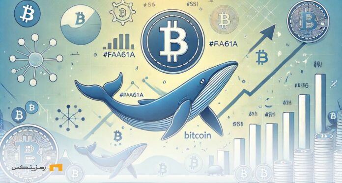 Will-Bitcoin-liquidity-and-whale-activity-push-price-to-$100k آیا بیت کوین با نقدینگی و نهنگها به ۱۰۰ هزار دلار میرسد؟