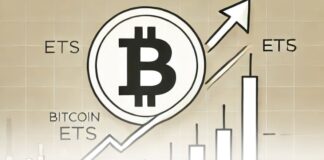 رشد شگفتانگیز ETF بیت کوین؛ جذب ۹۰۸ میلیون دلار در یک روز رشد ETF بیت کوین