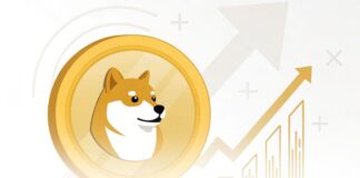 پیشبینی جهش بزرگ به قیمت ۱۱.۶۵ دلار برای دوجکوین در ۲۰۲۵ تحلیل دوج کوین