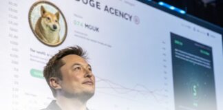 کاهش ۶ درصدی دوج کوین؛ تأثیر حذف میم دوج از سایت ایلان ماسک کاهش ۶ درصدی دوجکوین