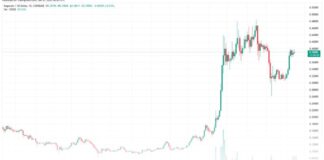 دوج کوین در مسیر ۱ دلار؛ افزایش ۴۰۰ درصدی معاملات نهنگها نمودار قیمتی دوج کوین