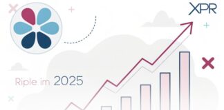 پیشبینی قیمت ریپل در سال ۲۰۲۵؛ آیا ریپل به ۳.۲۵ دلار میرسد؟ پیش بینی قیمت ریپل