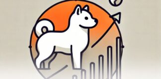 رشد ۱۵۰۰ درصدی نرخ سوزاندن شیبا اینو و هدف ۰.۰۰۱ دلاری رشد قیمت شیبا اینو