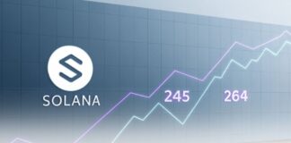 رشد ۱۷ درصدی سولانا و دلایل صعود تا مقاومت جدید ۲۶۴ دلاری رشد سولانا