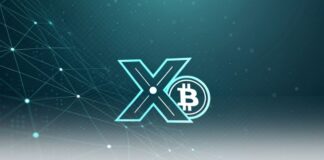 ایلان ماسک و طرح انقلابی بیت کوین در X Money تا ۲۰۲۵ ایکس مانی و ماسک