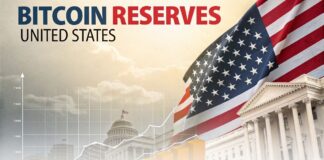 رئیس VanEck: ذخیره بیت کوین کلید برتری اقتصادی آمریکا است رئیس VanEck: ذخیره بیت کوین کلید برتری اقتصادی آمریکا است