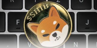 نرخ توکن سوزی شیبا به ۲۰۰۰ درصد میرسد؛ جهش قیمت در راه است؟ نرخ توکن سوزی شیبا به ۲۰۰۰ درصد میرسد؛ جهش قیمت در راه است؟