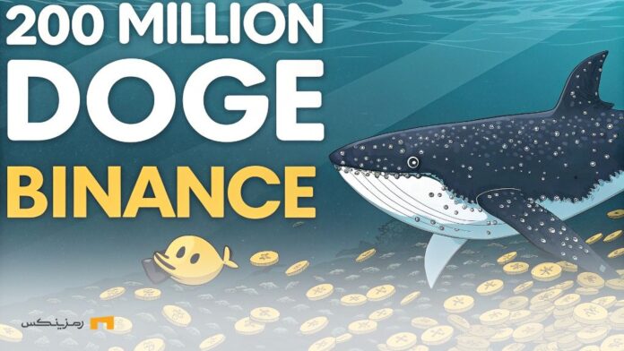 Transferring-200-million-Dogecoins-to-Binance-Market-crash-and-uncertain-future انتقال ۲۰۰ میلیون دوج کوین به بایننس همزمان با سقوط ۲۰ درصدی