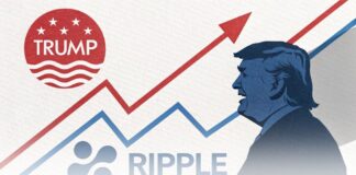 اثر ترامپ و رشد ریپل در بازار آمریکا؛ فرصتهای جدید ریپل ترامپ و چارت رو به بالا