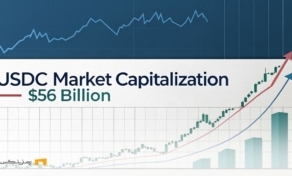 USDC به ارزش بازار ۵۶ میلیارد دلار رسید؛ ضررهای بازار جبران شد