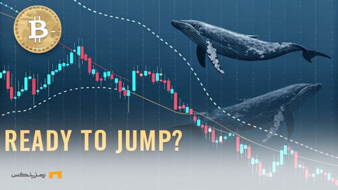 انباشت نهنگ‌ها در هر افت قیمت؛ بیت کوین در آستانه جهش است؟