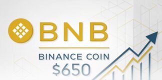 پیشبینی قیمت بایننس کوین؛ هدف ۶۵۰ دلار تا پایان سال ۲۰۲۵ پیشبینی قیمت بایننس کوین