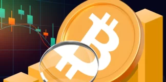 تحلیل فاندامنتال بیت کوین فاندامنتال بیت کوین زیر ذره بین