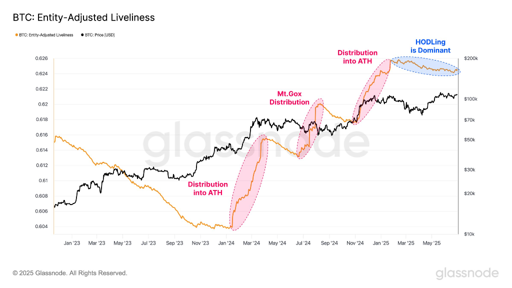 نمودار bitcoin entity adjusted liveliness