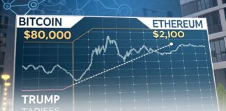 سقوط آزاد بیت کوین و اتریوم با افزایش نگرانی از تعرفههای ترامپ سقوط آزاد بیت کوین و اتریوم با افزایش نگرانی از تعرفههای ترامپ