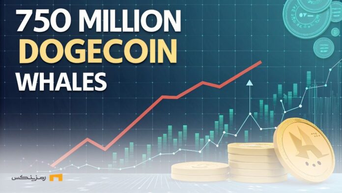purchase-750-million-Dogecoin-tokens-by-whales-and-possibility-market-rise خرید ۷۵۰ میلیون دوج کوین توسط نهنگها؛ بازار به چه سمتی میرود؟