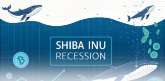 کاهش فعالیت نهنگها؛ شیبا اینو دچار رکود میشود؟ کاهش فعالیت نهنگها؛ شیبا اینو دچار رکود میشود؟