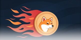 افزایش ۱۵۰۰٪ توکنسوزی شیبا اینو؛ حذف ۳۰ میلیون در یک روز! افزایش توکن سوزی شیبا اینو