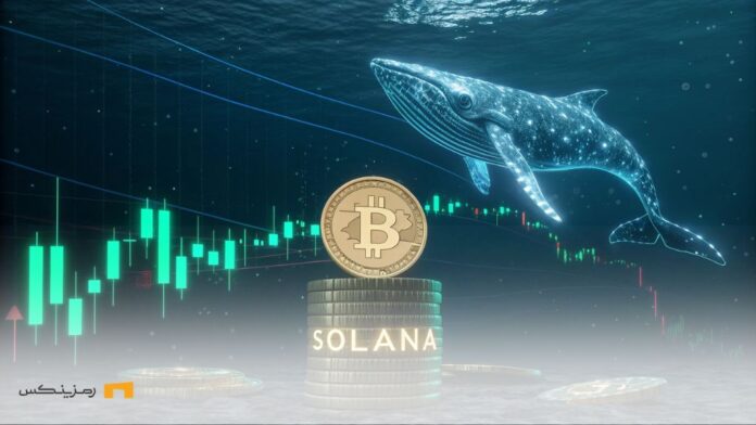 خرید سولانا توسط نهنگ‌ها