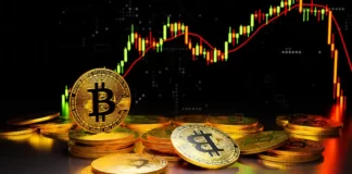 حمایت های اصلی ۱۰ ارز دیجیتال برتر در فوریه ناحیه حمایت ۱۰ ارز دیجیتال برتر