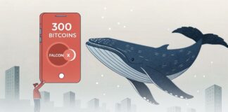 بیت کوین در حال تغییر روند؛ یک نهنگ ۳۰۰ BTC را جابهجا کرد بیت کوین در حال تغییر روند؛ یک نهنگ ۳۰۰ BTC را جابهجا کرد