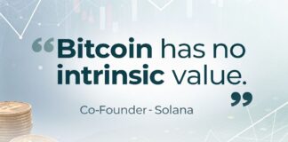 نظر جنجالی همبنیانگذار سولانا: بیت کوین فاقد ارزش ذاتی است همبنیانگذار سولانا: بیت کوین ارزش ذاتی ندارد