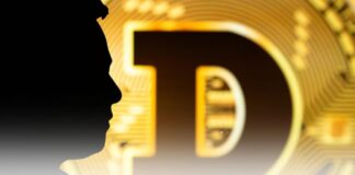 سقوط دوج کوین پس اظهار نظر جنجالی ایلان ماسک سقوط دوج کوین پس اظهار نظر جنجالی ایلان ماسک