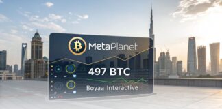 صدرنشینی متاپلنت در انباشت بیت کوین در آسیا با خرید ۴۹۷ BTC صدرنشینی متاپلنت در انباشت بیت کوین در آسیا با خرید ۴۹۷ BTC