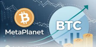 خرید ۱۲.۵ میلیون دلار بیت کوین؛ گام متاپلنت به سمت ۱۰ هزار BTC خرید ۱۲.۵ میلیون دلار بیت کوین؛ گام متاپلنت به سمت ۱۰ هزار BTC