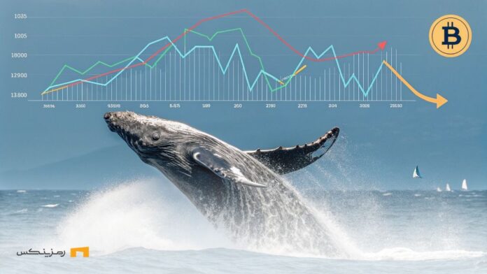 Reducing-selling-pressure-in-Binance-same-time-return-Bitcoin-whales افت فشار فروش در بایننس همزمان با چشمانداز صعودی نهنگهای BTC