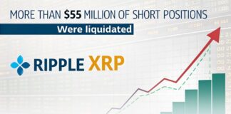 ترامپ و ریپل؛ جهش به ۳ دلار و لیکوئید شدن بیش از ۵۵ میلیون دلار ترامپ و ریپل؛ جهش به ۳ دلار و لیکوئید شدن بیش از ۵۵ میلیون دلار