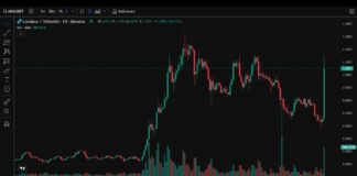 قیمت آدا ۷۰٪ افزایش یافت؛ تاثیر تصمیم ترامپ چه خواهد بود؟