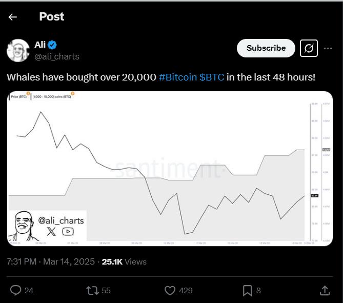 پست تحلیلگر معروف در مورد خرید بیت کوین توسط نهنگ ها