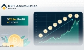 جهش BNB Chain؛ سود ۳۲ میلیون دلاری تنها در ۲۱ روز برای نهنگ‌ها