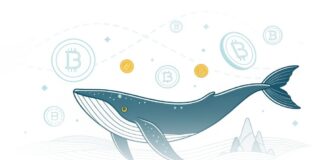 واریز ۱.۴ میلیون دلاری نهنگ بایننس کوین به صرافی بایننس نهنگ و بایننس کوین در یک طراحی مینیمال دیجیتال