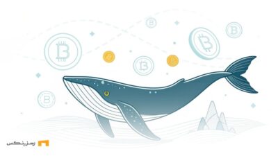 نهنگ و بایننس کوین در یک طراحی مینیمال دیجیتال