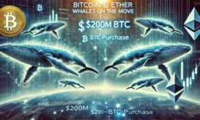 خرید بیت کوین و اتریوم توسط نهنگ ها