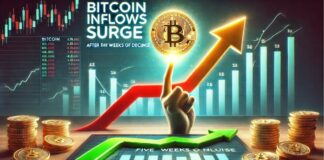 هجوم سرمایه به بیت کوین؛ پایان پنج هفته خروج پول! پایان خروج پول و آغاز ورود آن به بیت کوین