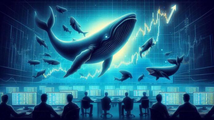 bitcoin-price-targets-90000-as-btc-whales-go-on-accumulation تارگت 90 هزاردلاری بیت کوین همره با خرید نهنگ ها