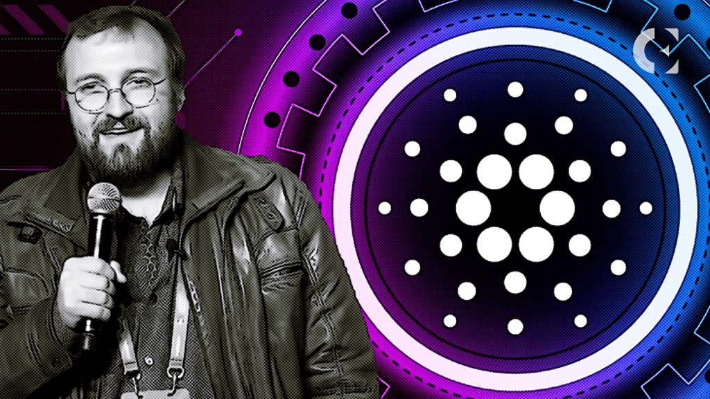 بیوگرافی چارلز هاسکینسون؛ خالق کاردانو و پیشگام در بلاکچین