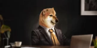 چیمز (CHEEMS) در رمزینکس لیست شد! اطلاعرسانی لیستینگ چیمز (CHEEMS)