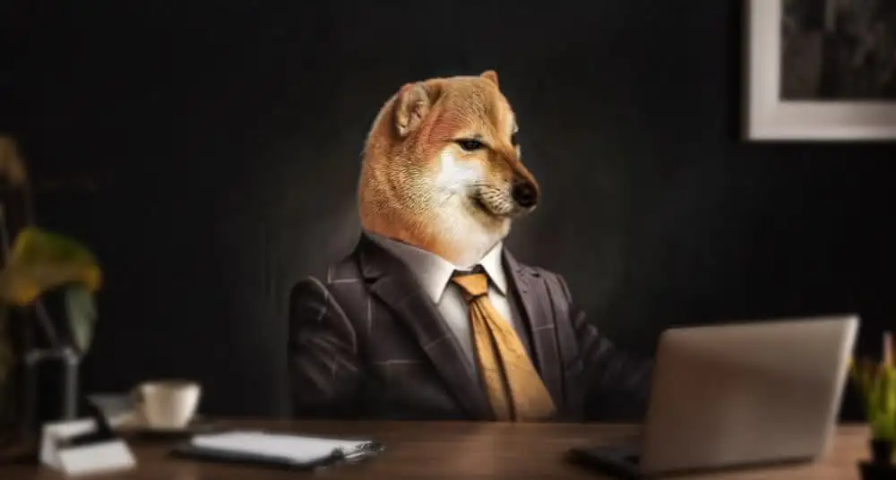 چیمز (CHEEMS) در رمزینکس لیست شد! اطلاعرسانی لیستینگ چیمز (CHEEMS)