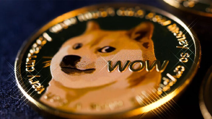 dogeccoin-founders جکسون پالمر و بیلی مارکوس خالقان دوج کوین