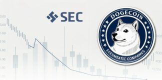 ETF دوج کوین در آستانه تأیید؛ فرصت تاریخی سرمایهگذاران تصویری مینیمال از نمودار مالی با تمرکز بر نماد دوجکوین و روند صعودی یا نزولی آن، با لوگوی SEC در پسزمینه